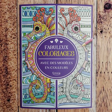 Livre de coloriage : Fabuleux coloriages avec des modèles en couleurs