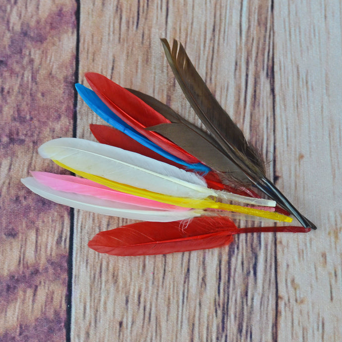 10 plumes d'oies - Couleurs variées