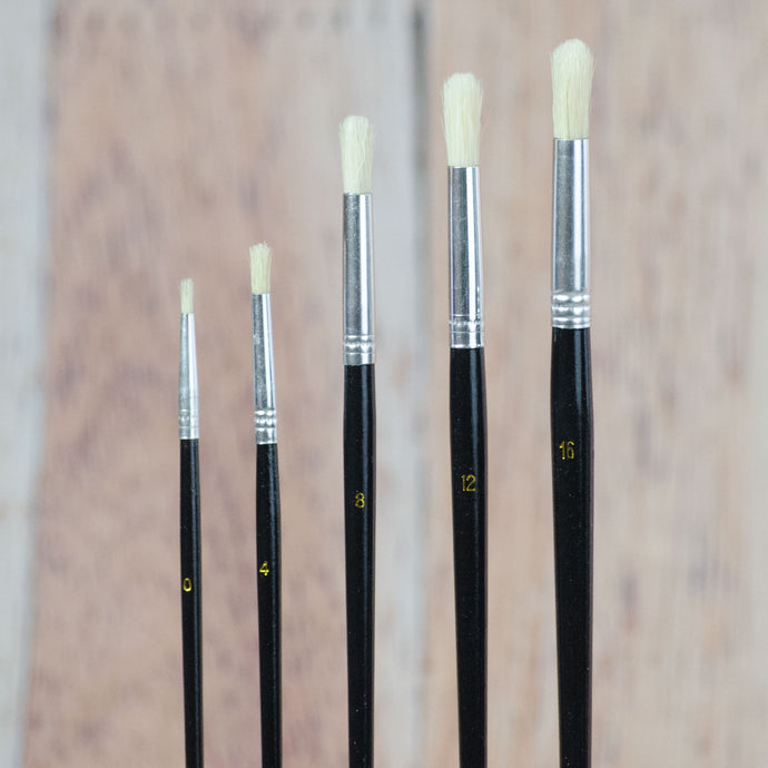 5 Pinceaux rond en soie de porc