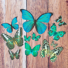 Charger l&#39;image dans la galerie, Découpes de papillons bleus en carton avec effet doré