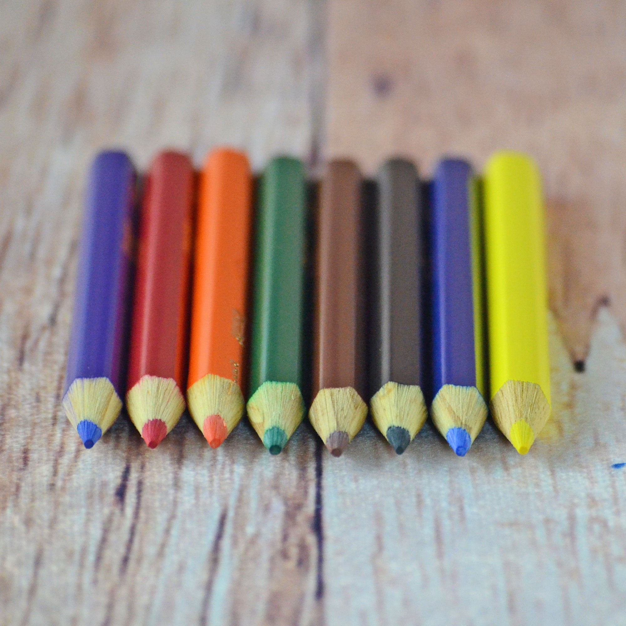 8 crayons de bois courts faciles à tenir de Crayola