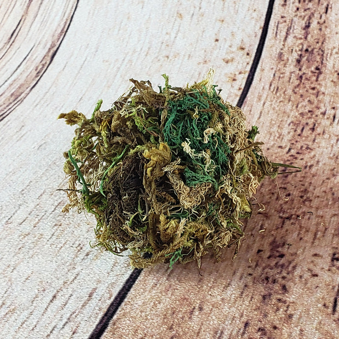 Mousse florale (10 gr.)