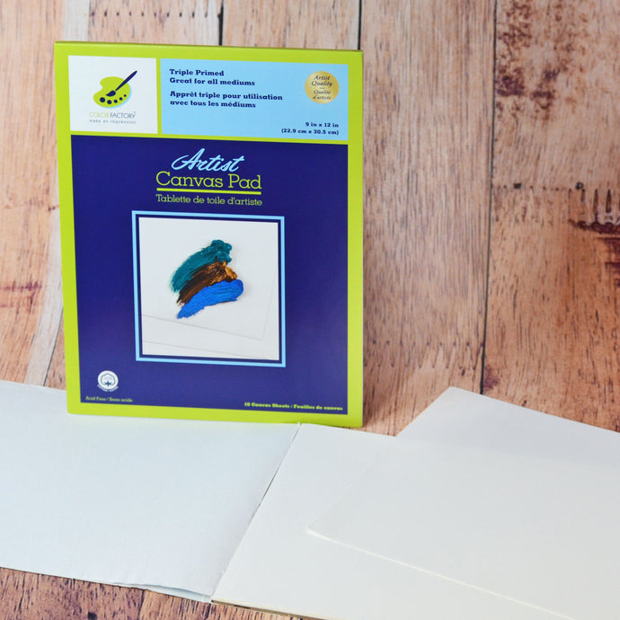 Tablette de toile d'artiste - 10 feuilles de canvas